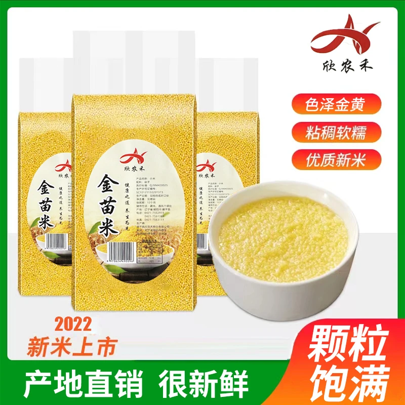 2025年东北农家小米黄金苗1斤五谷杂粮新鲜粮食小米粥粘稠米脂