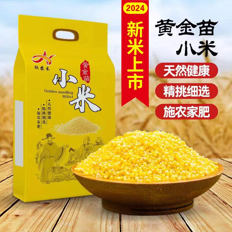 欣农禾真空包装5斤黄金苗小米2024年新米2.5Kg免淘免洗食用熬粥