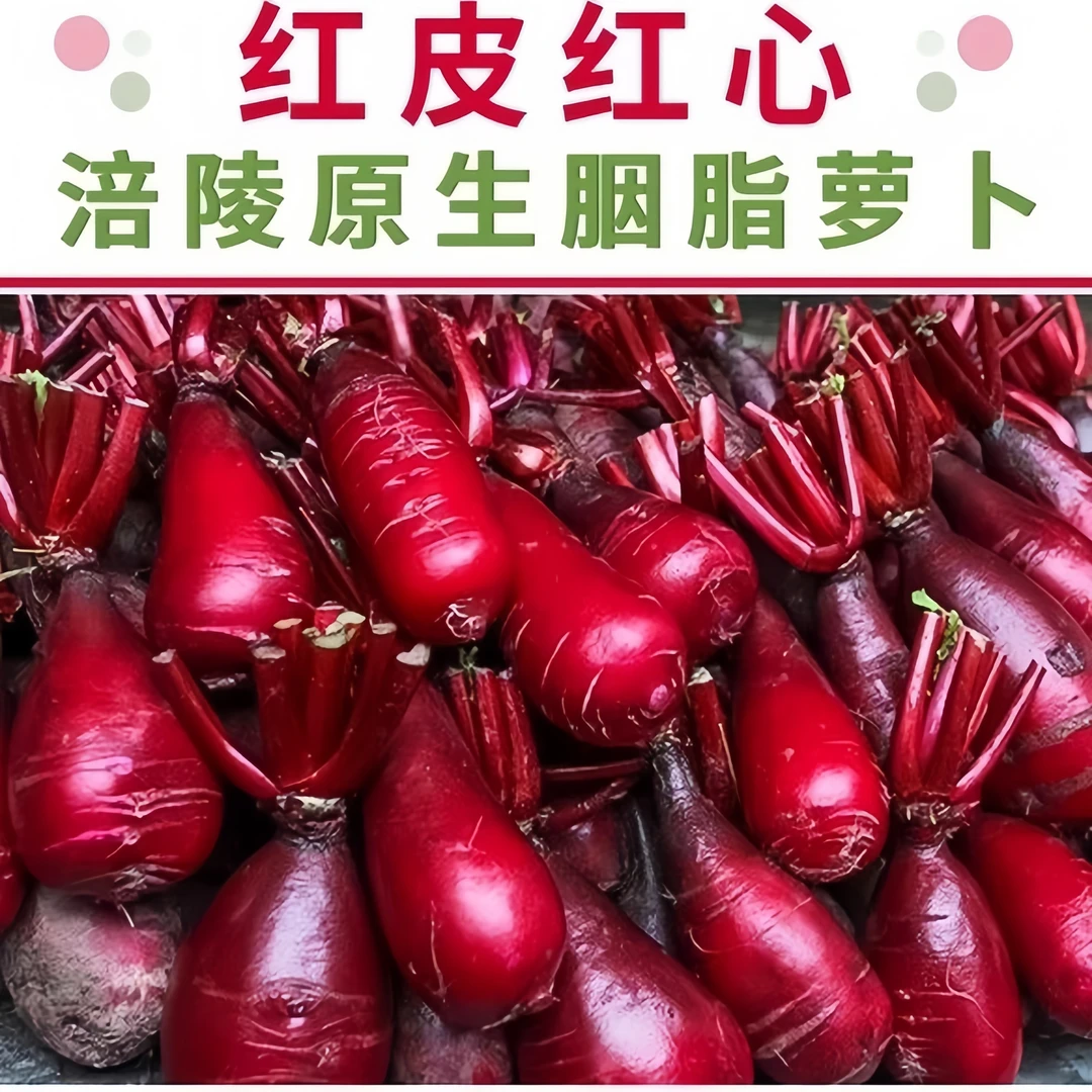【老了不好看评论清楚在下单】涪陵特产胭脂萝卜红皮红心新鲜红萝卜