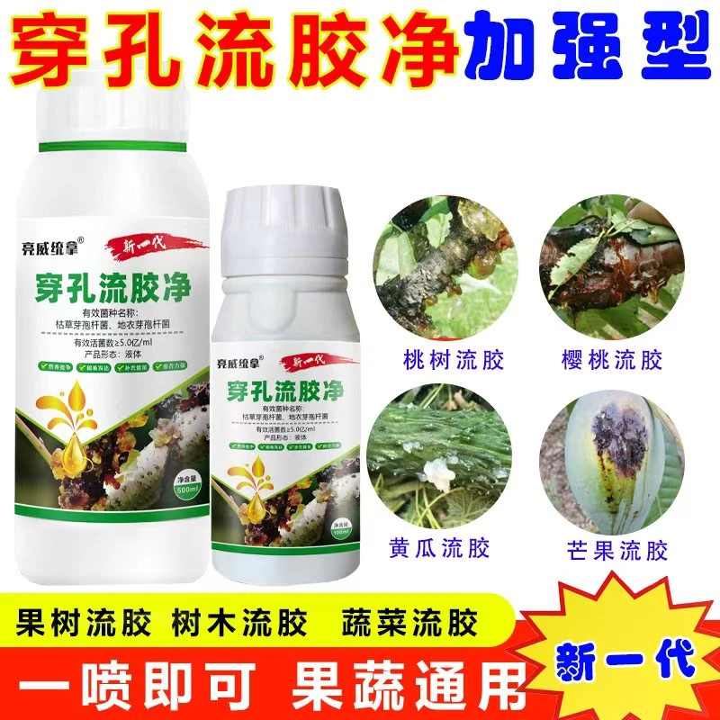 亮威果树穿孔流胶净李子桃树柑橘樱桃溃疡腐烂一喷净有机质肥料