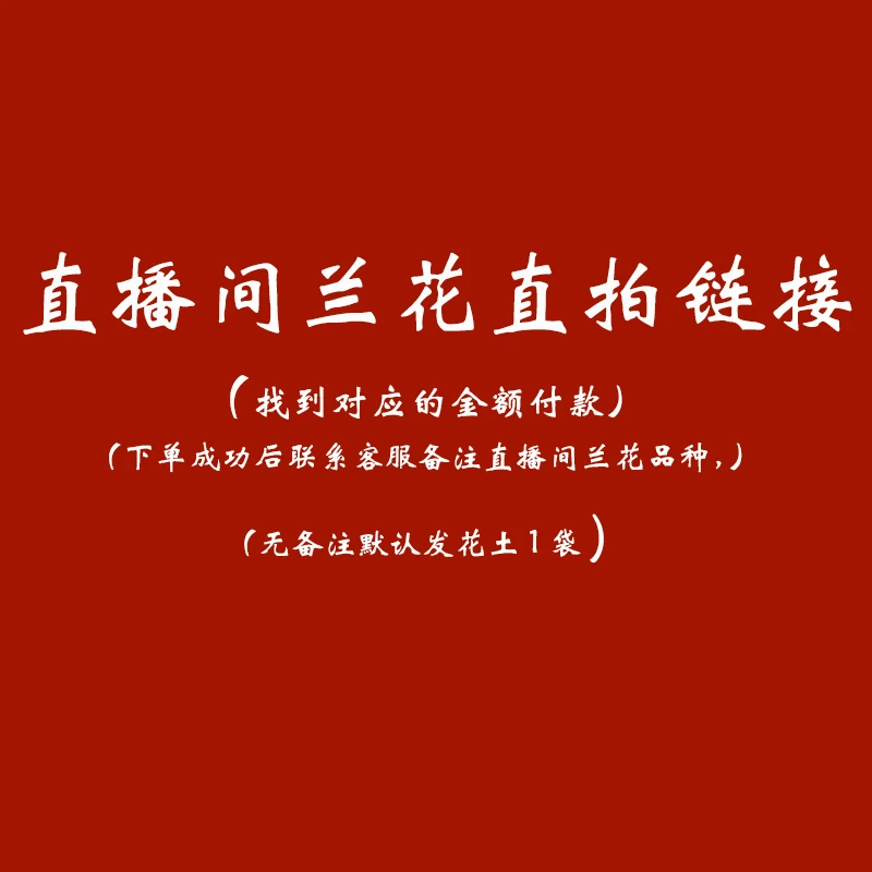 兰花直播间一物一拍建兰春兰墨兰带花苞浓香室内花卉盆栽植物阳台