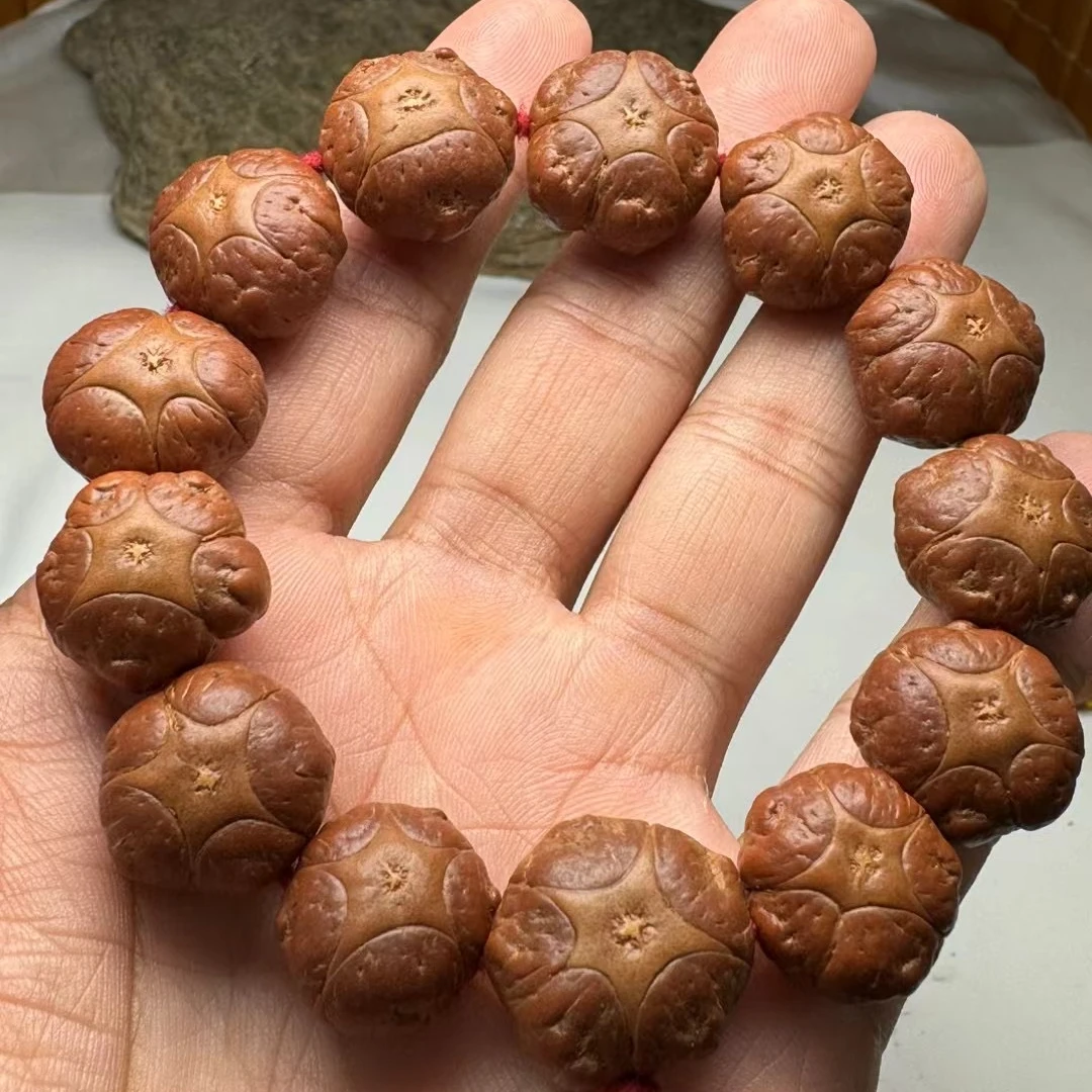 精品凤眼菩提五星上将