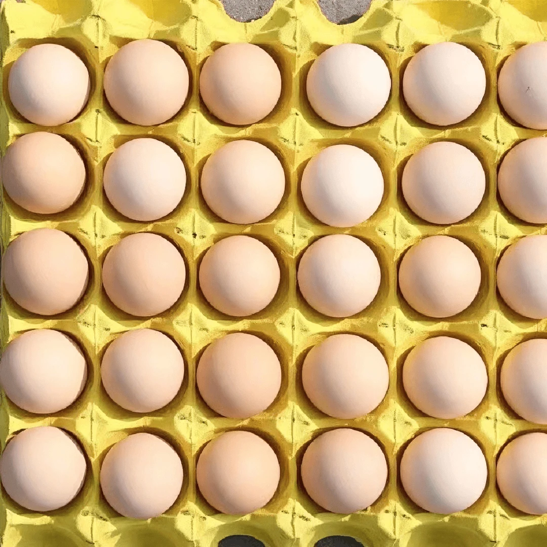 【长寿之乡】正宗农家散养土鸡蛋新鲜笨鸡蛋草鸡蛋鸡蛋整箱批发