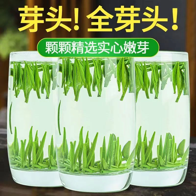 【粉丝福利】雀舌2023新茶品尝绿茶春茶茶叶湄潭翠芽贵州高山茶叶