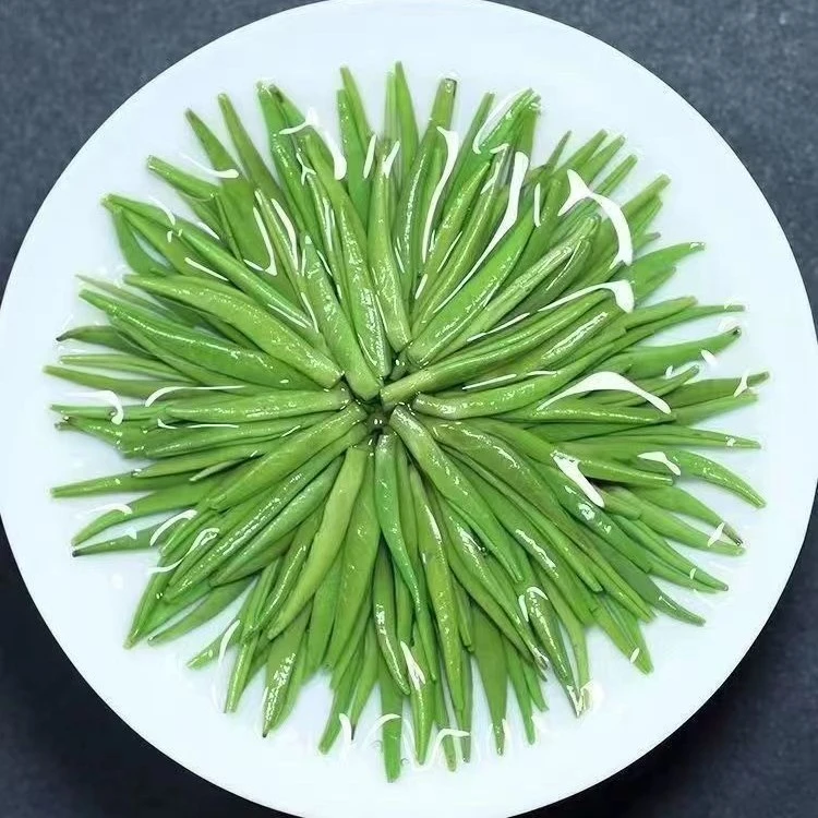 2025新茶春茶特级雀舌茶叶贵州高山绿茶湄潭芽茶贵州毛尖浓香型