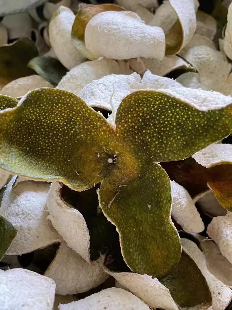 《高货塞口围青皮》正宗新会陈皮2023年梅江青皮生晒干皮农户老树