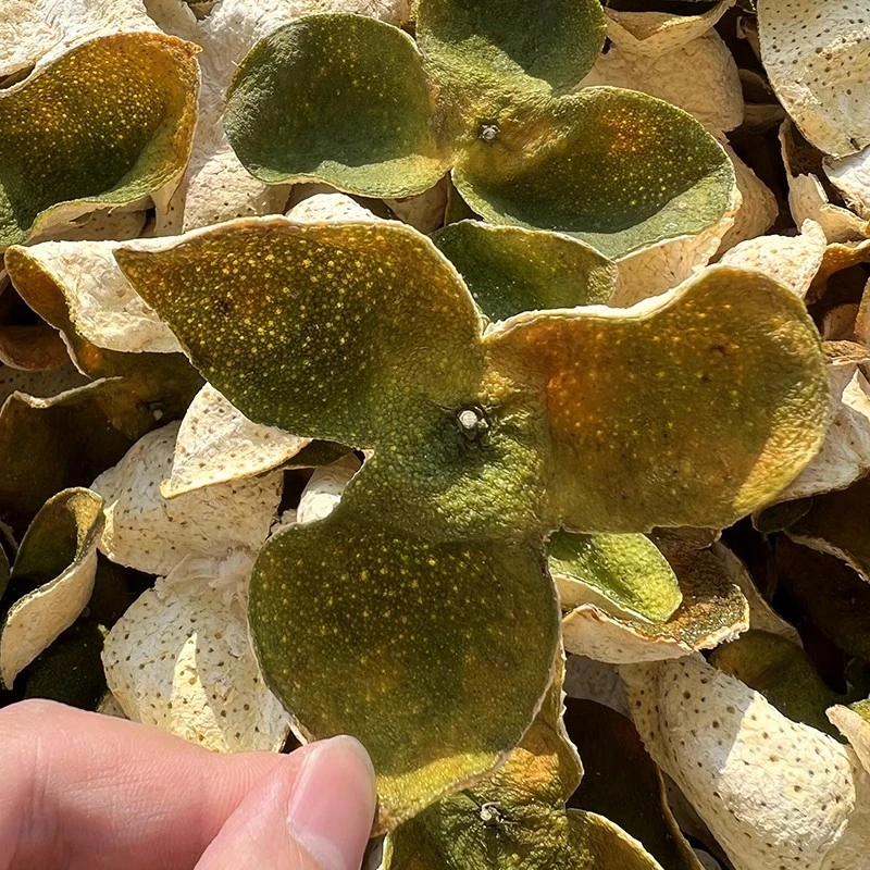 《天马二红断皮100单放漏》2024年正宗新会二红皮老树圈枝柑陈皮