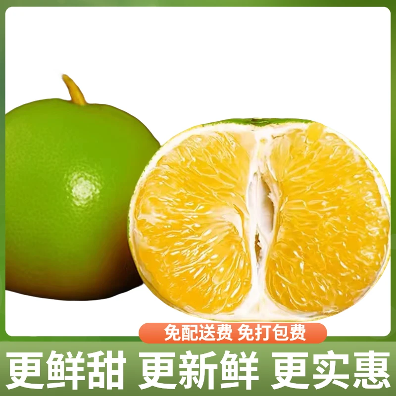 福建翡翠葡萄柚 0.8-1斤左右 中果8.5元/个 大果9元/个 特大果10元/个