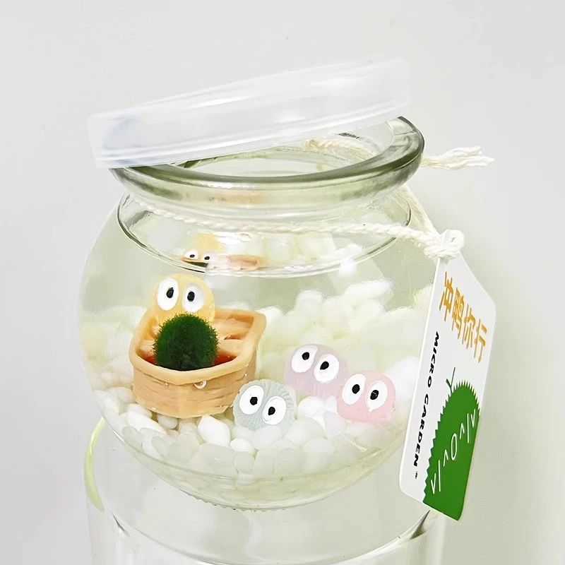 Micro Garden海藻球生态瓶宿舍小宠物迷你植物桌面微景观diy套装