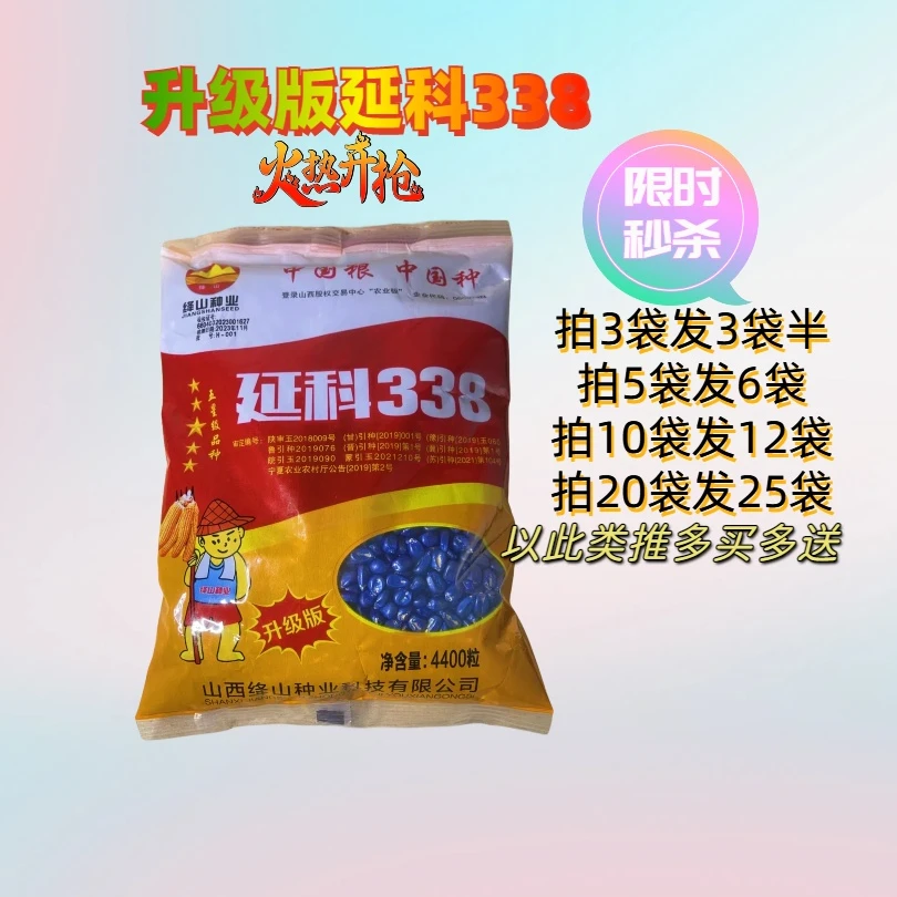 升级款延科338高产大棒玉米苞谷种子
