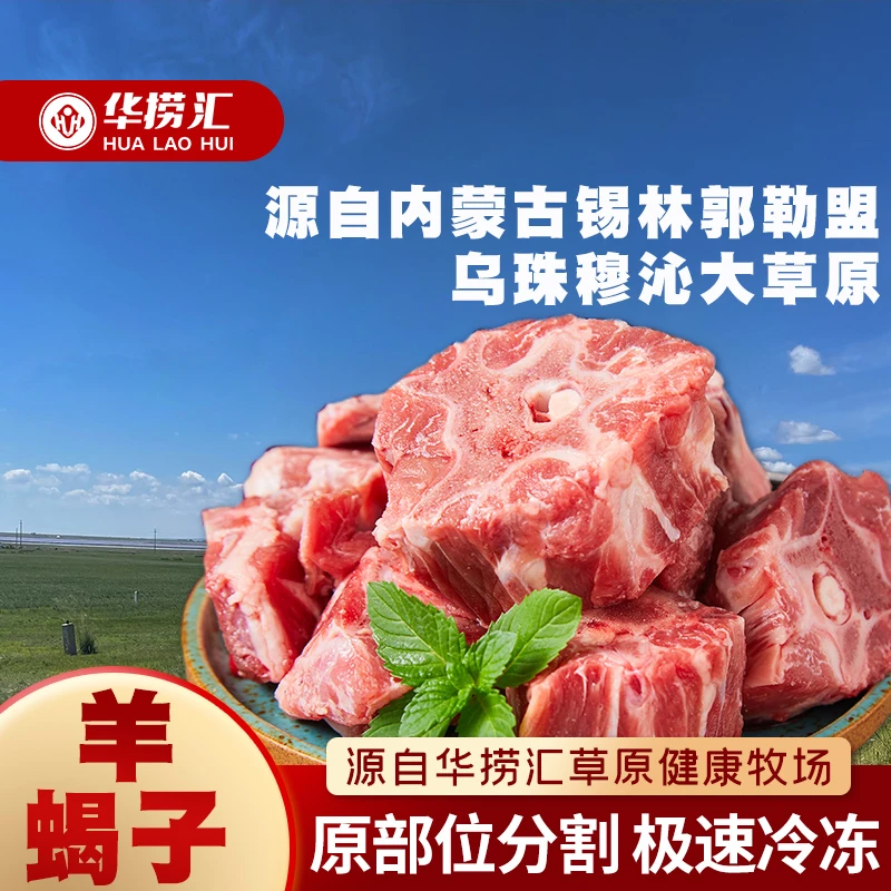 华捞汇黑头桃尾羊羔羊龙骨 羊蝎子
