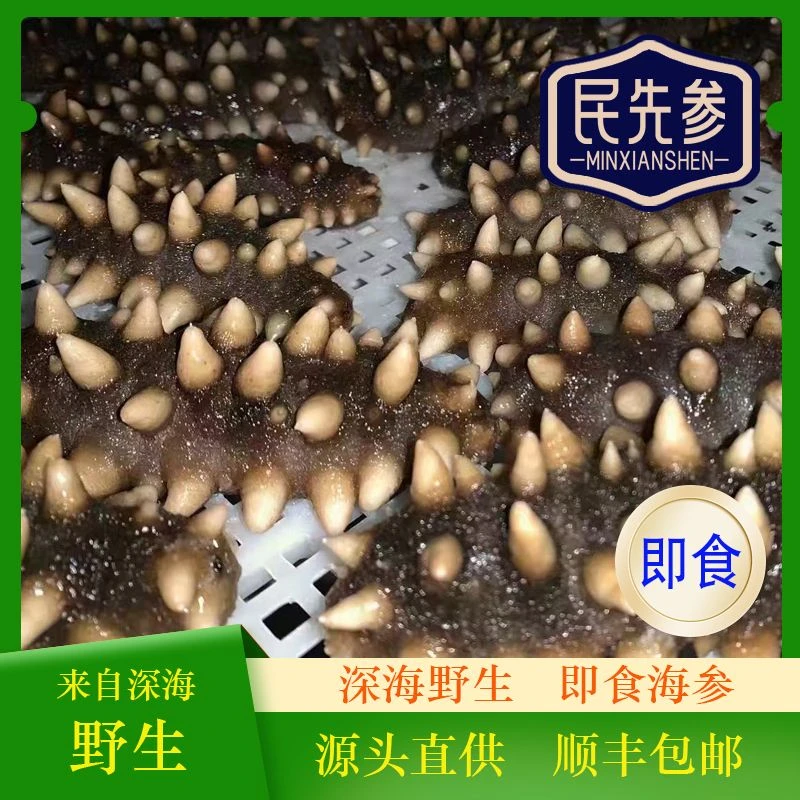 【精选3斤 7-8头即食】长海县深海海参