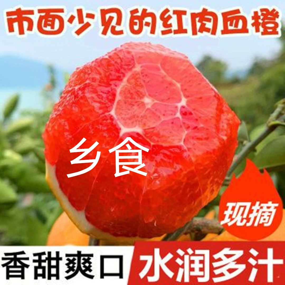 【不去花专属】秭归中华红血橙红肉红橙酸甜应季甜橙细腻皮薄采摘