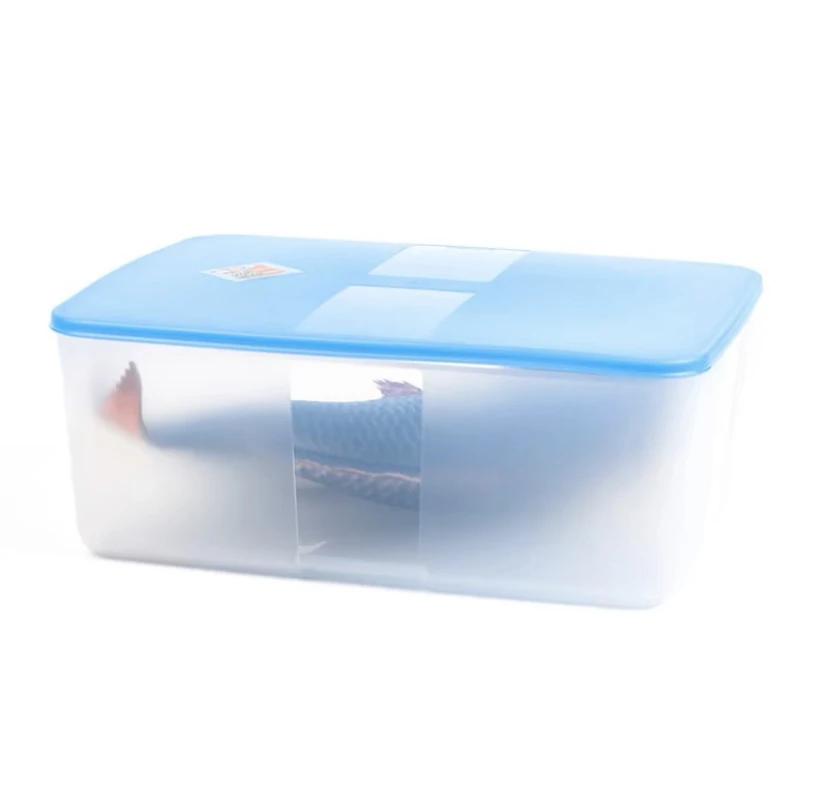 5.6升冷冻盒大收纳盒