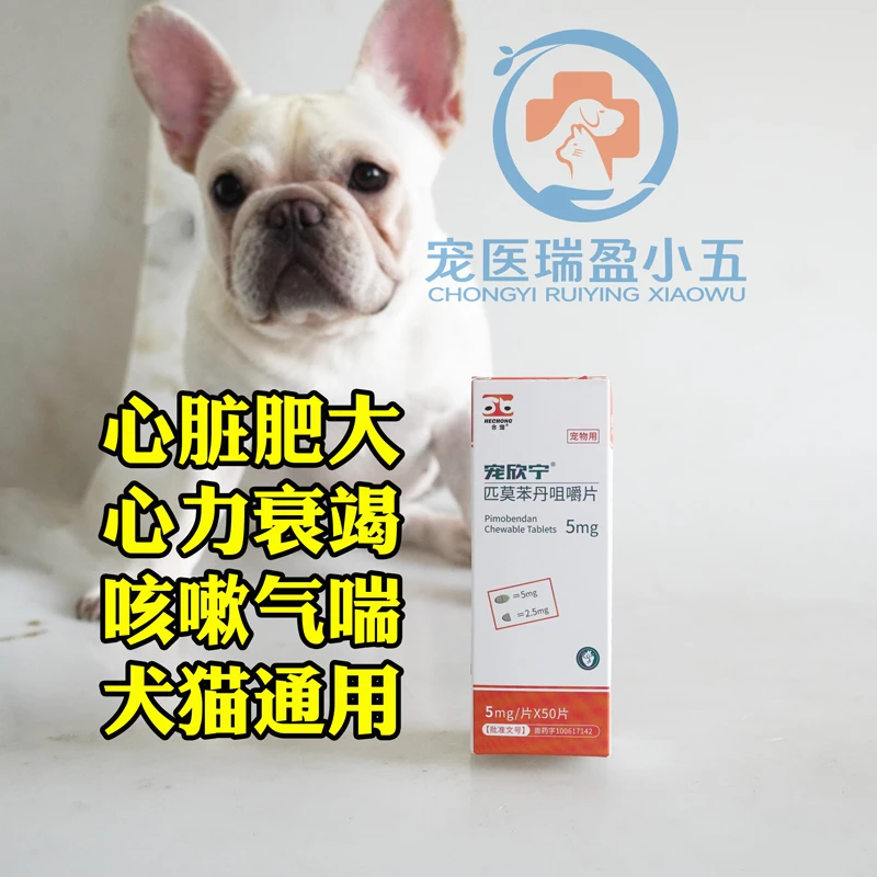 宠欣宁宠物犬猫心脏肥大狗狗心力衰竭咳嗽气喘匹莫苯丹