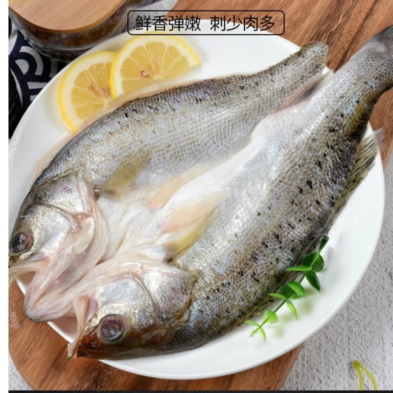 连云港发货 去鳞开背鲈鱼 调味美味500-600g/条 到手4条