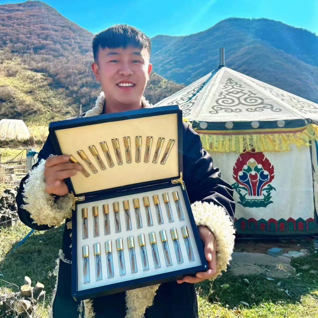 【小弟粉丝专享】正宗那曲冬虫夏草 中大草30根 头期足干滋补养生