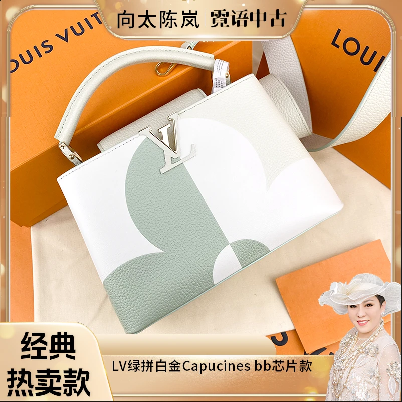 全新未使用 LouisVuitton/路易威登 芯片款拼色三叶草CAP bb