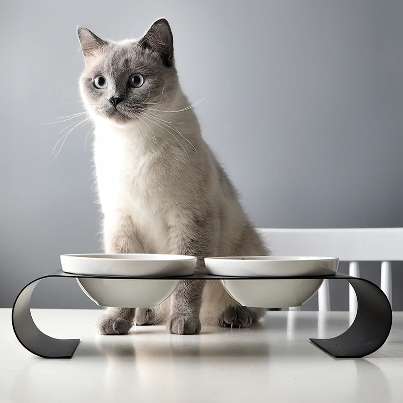 陶瓷猫咪碗防滑双碗吃饭碗保护颈椎易清洗可拆卸纯白猫粮碗饮水碗