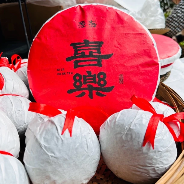 云南临沧生茶喜乐花香古树春茶饼茶笋叶装通用香气