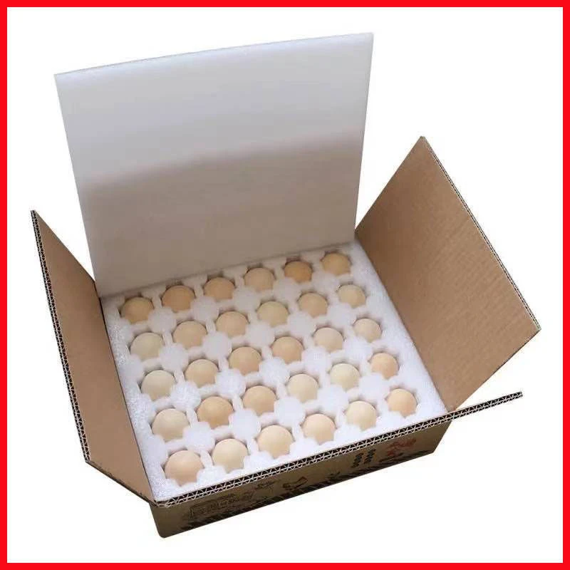 散养婆罗门鸡蛋十枚起包邮包百分之七十受精