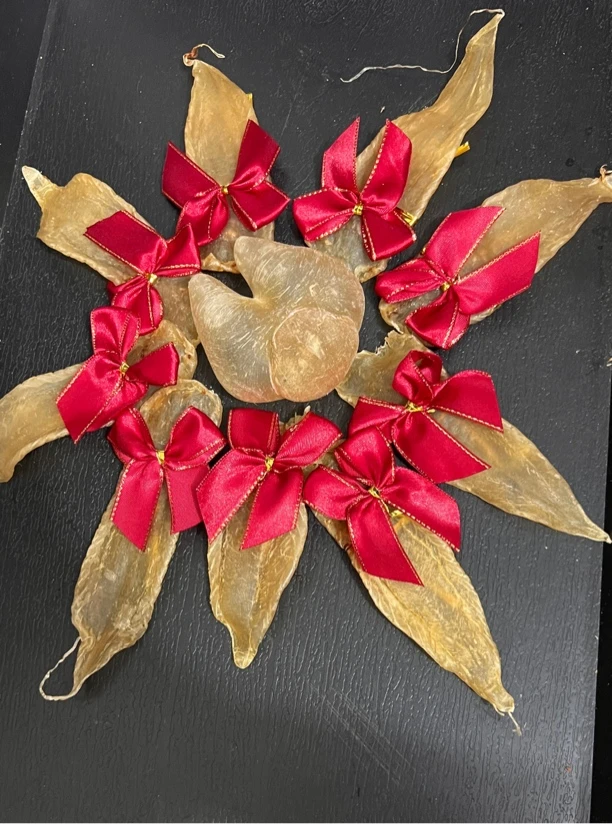 1南澳朱小妹鱼胶1g-500g直播链接