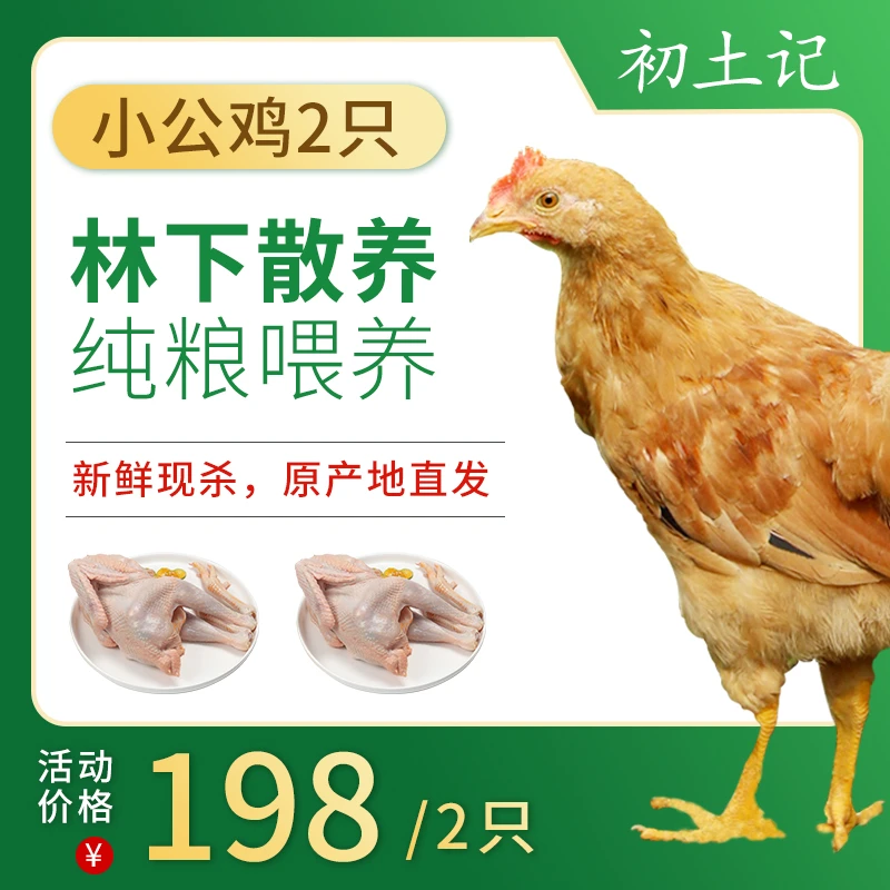 初土记小公鸡750g 林下散养小公鸡  新鲜土公鸡 2只装