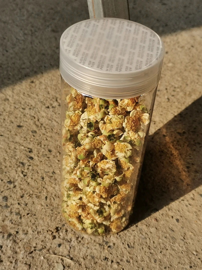 铁观音 冬季茶树花 每年小雪节气左右采制 一罐50克 全国包邮