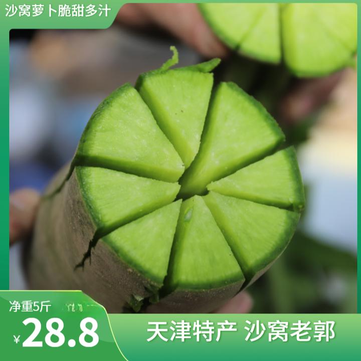 天津原产地沙窝老郭郭芝振沙窝萝卜甜脆 净重5斤
