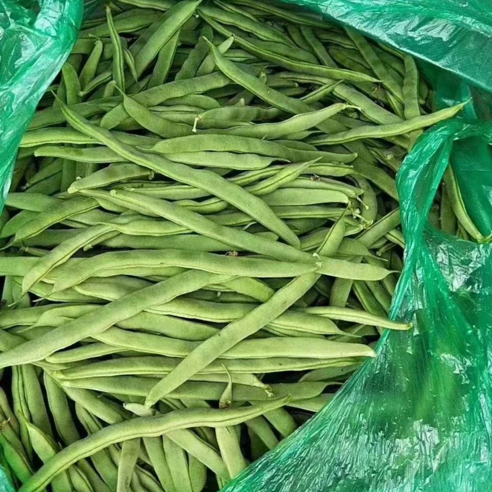 天津本地弯子豆角 净重3斤 快递送货上楼