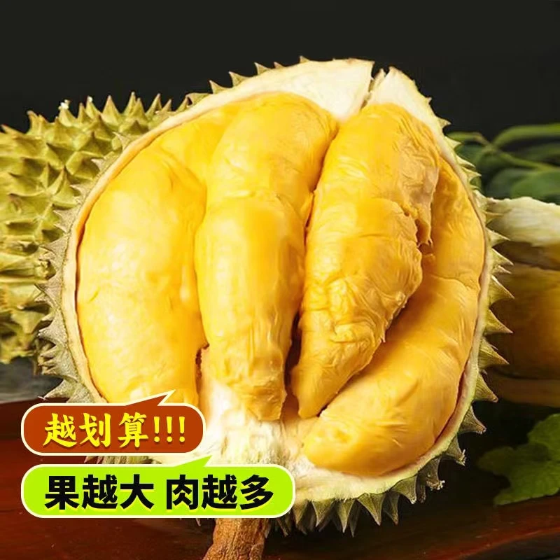 【2云仓老马一物一拍】泰国金枕榴莲新鲜水果生切不售后介意勿拍