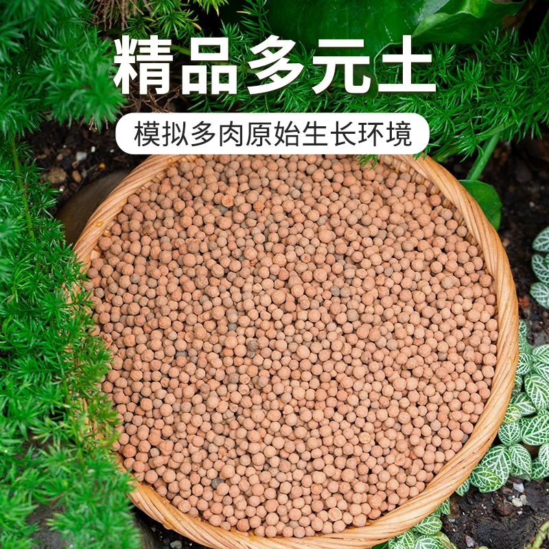多元土活力全颗粒透气多肉植物营养土多种生根发根微量元素促进