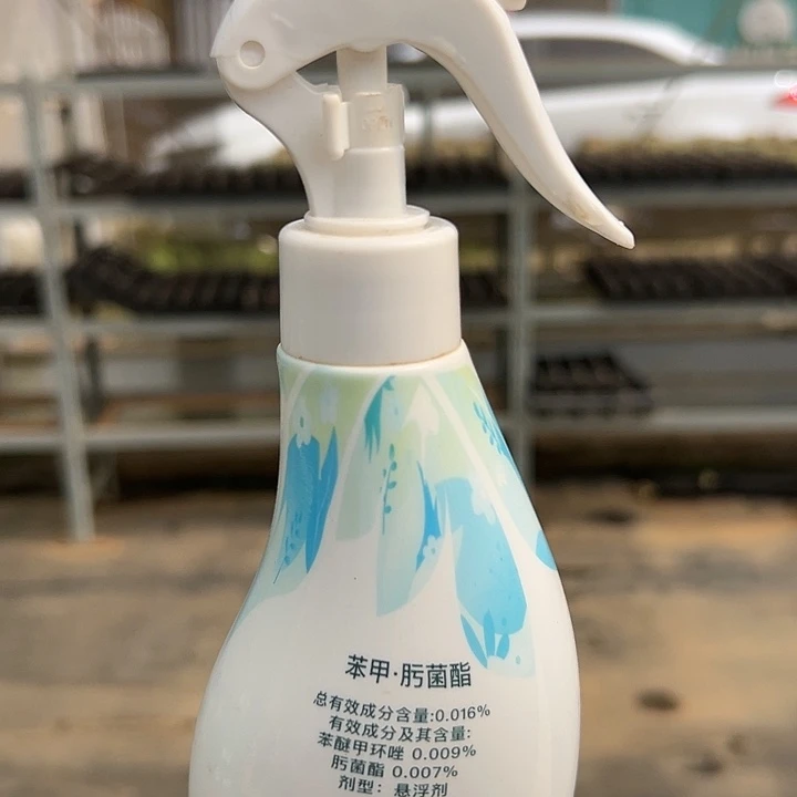 从前慢花园养护套装花枝俏
