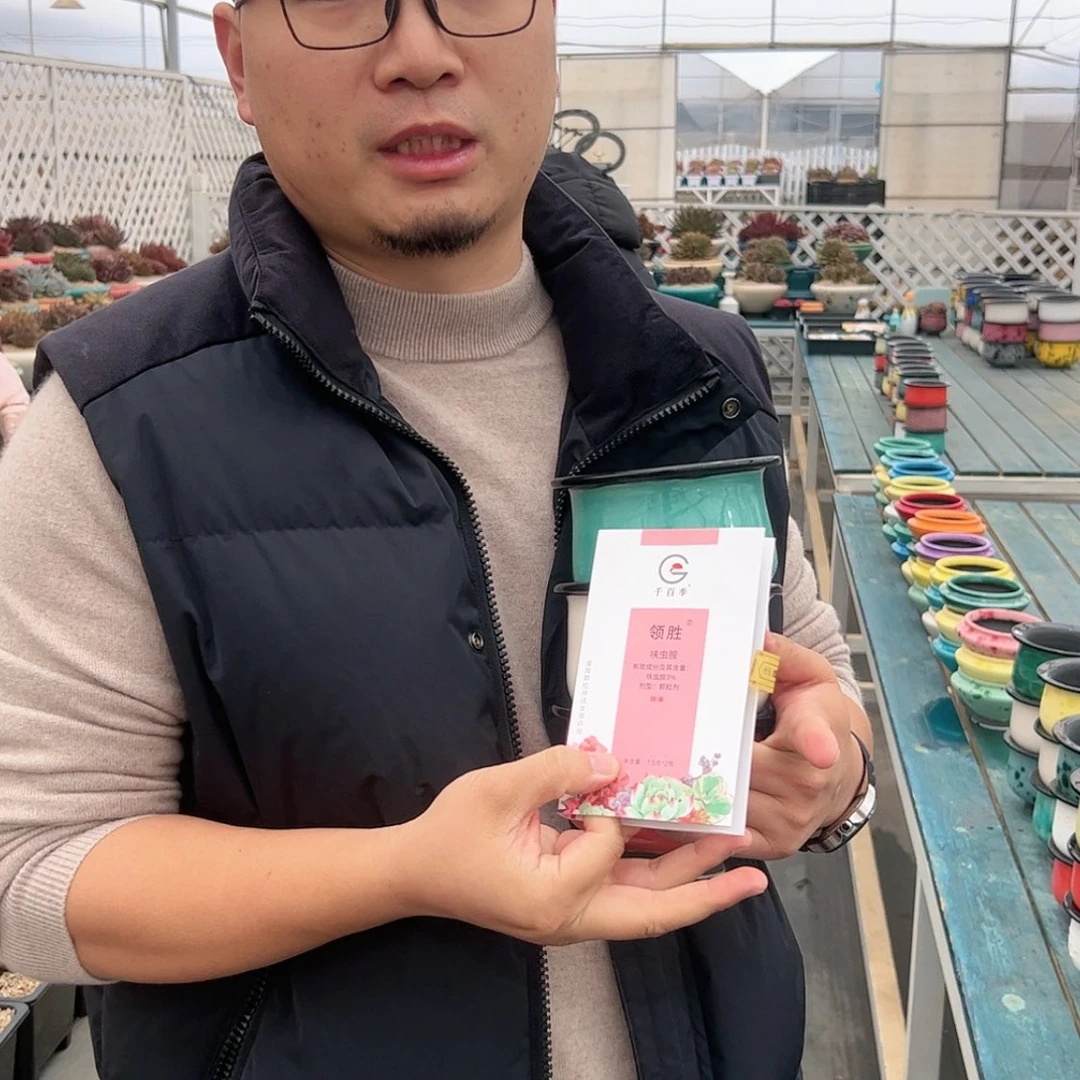 【闪购商品】经典款三个（预售）