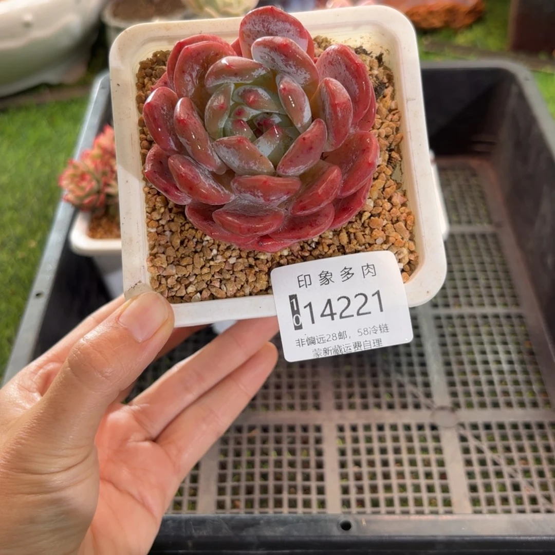 24221w er y x f yu jv