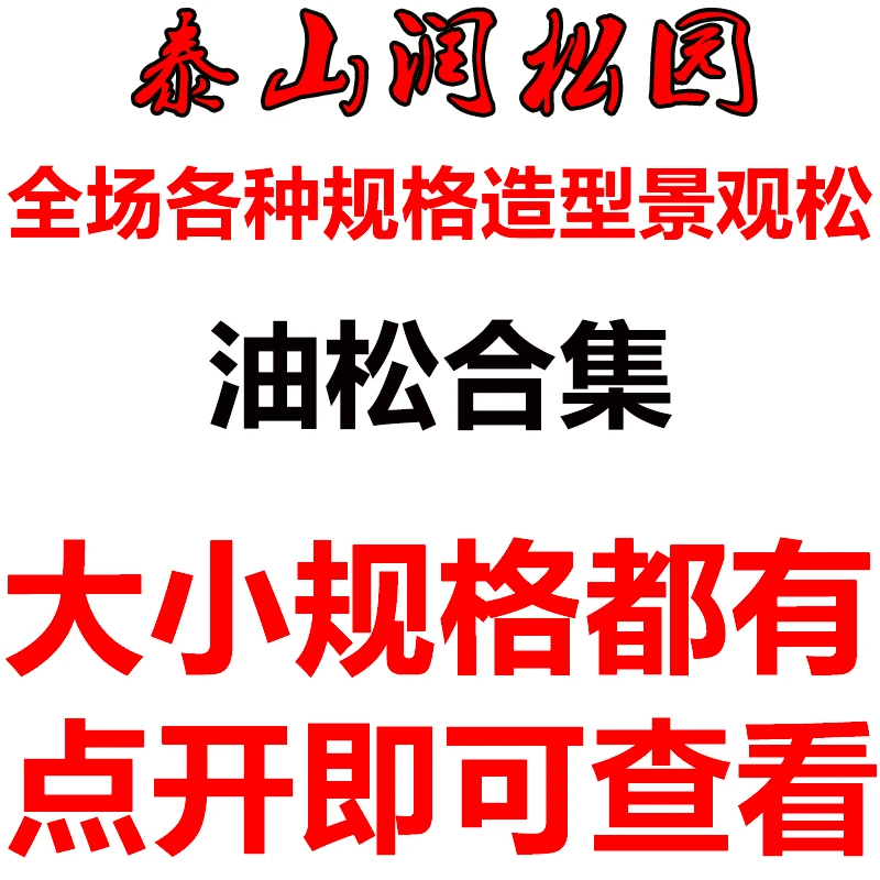 造型景观松油松黑松赤松庭院别墅过门斜飘花园鱼池假山临水迎客松