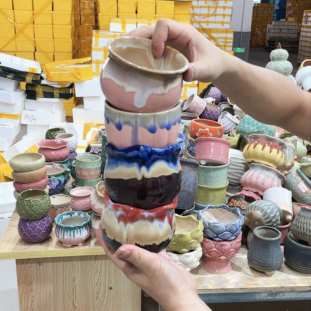 红陶20CM以下正品