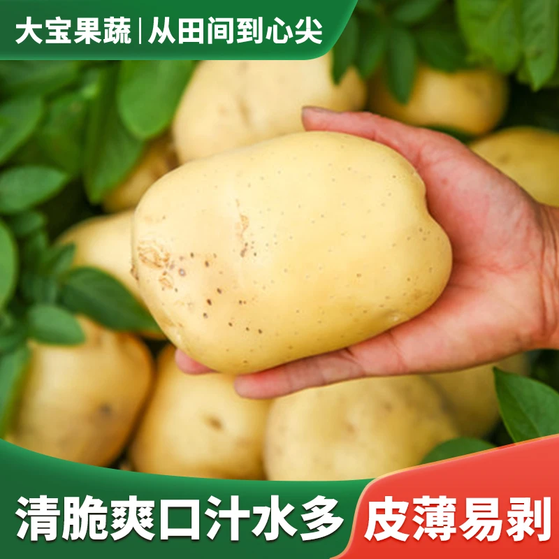 云南2024年新鲜绿色薄皮土豆马铃薯新土豆农家自种洋芋绿色优选
