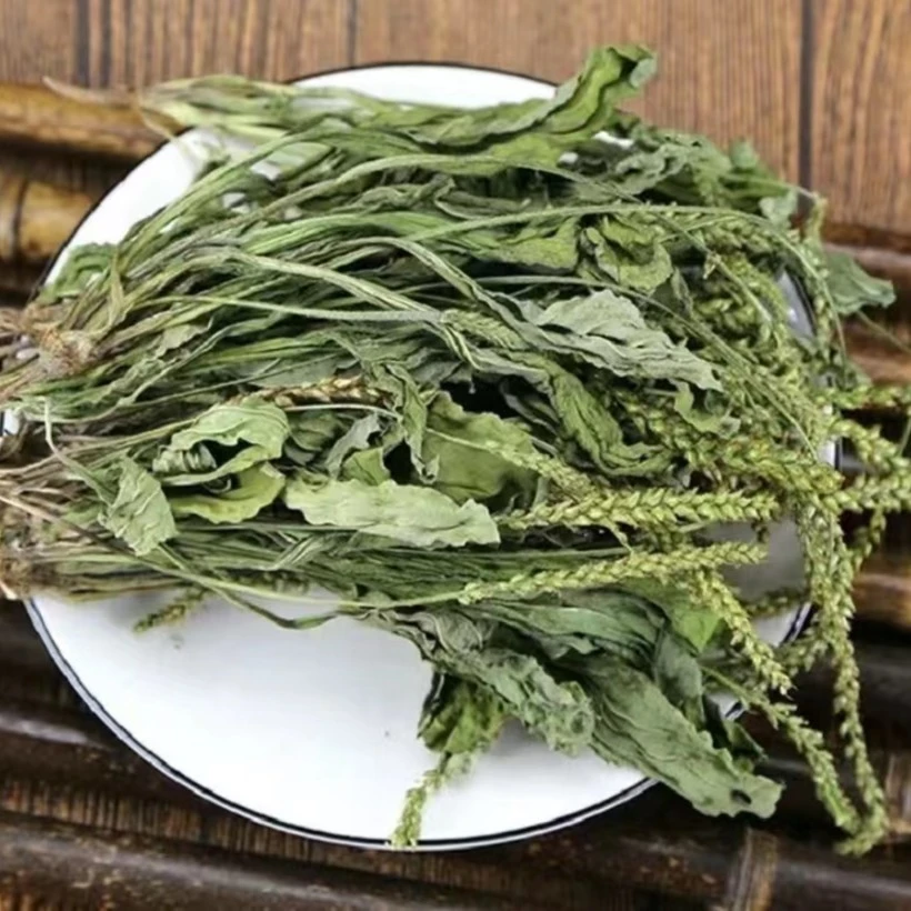 广宁赤坑 农家自晒 车前草 猪肚草  100g农产品食用加工质量