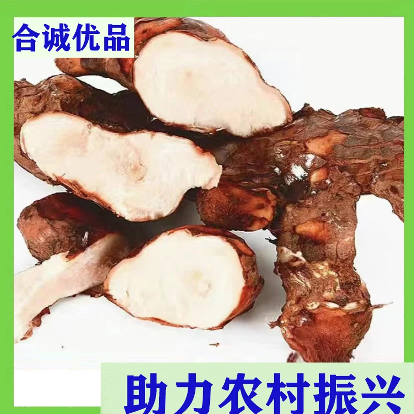 土付零根 赤坑土茯零根 250g