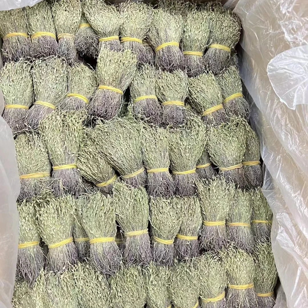 正宗广西独脚金  野野货