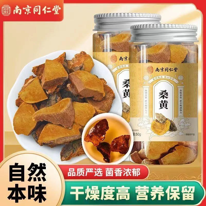 南京同仁堂乐家老铺桑黄正宗西藏桑黄天然桑黄泡水食药用菌类正品