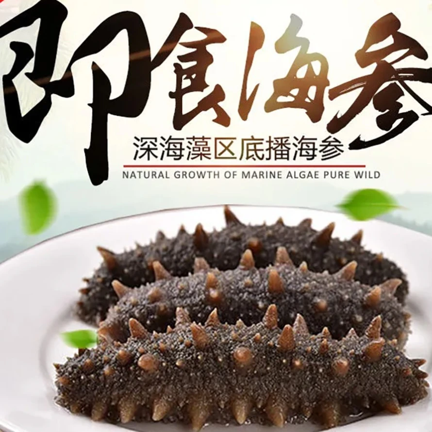 连云港发货  即食海参 1斤6个左右 泡发海参