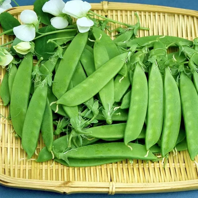 【荷兰豆】云南高山蔬菜现摘现发豌豆豆荚京东冷链包邮