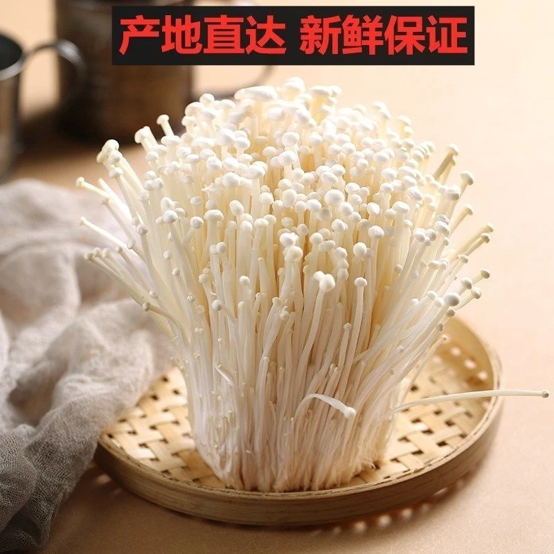 【新鲜金针菇商用批发5斤】现摘现发蔬菜菌菇火锅烧烤凉拌煲汤食材