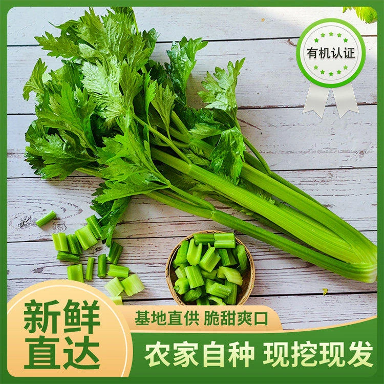 【寰天宇农场】酵素有机蔬菜【新鲜采收】有机西芹4.5斤农产品