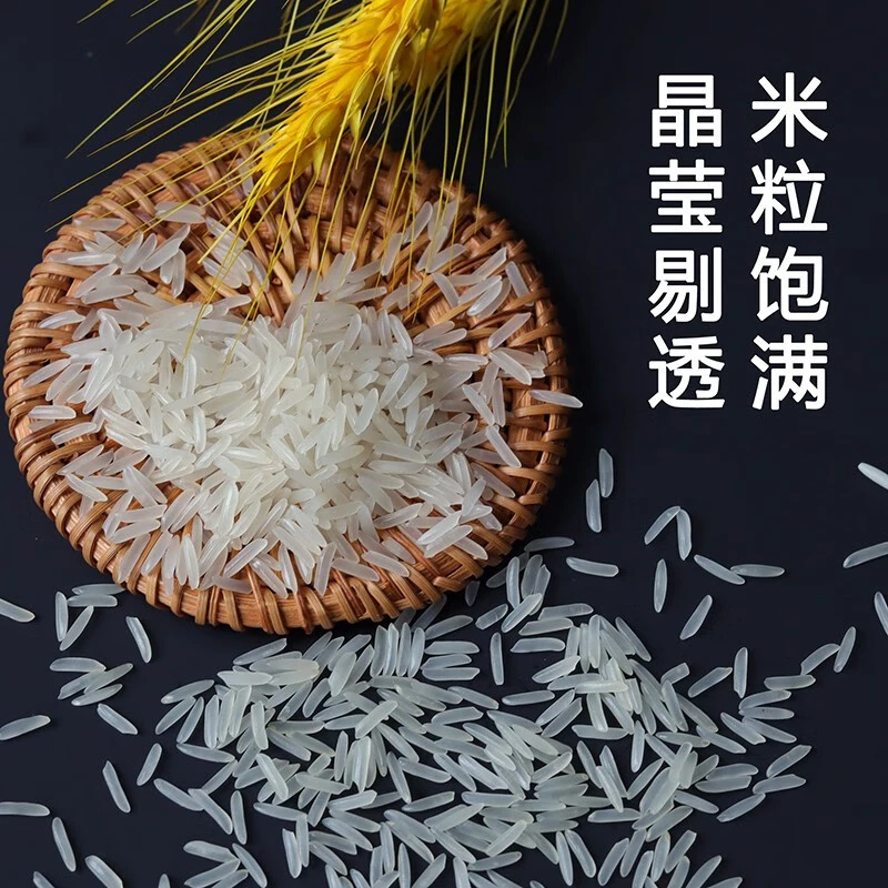 （新人专属）50斤当季新米软香丝苗米 长粒新米大米10斤20斤50斤