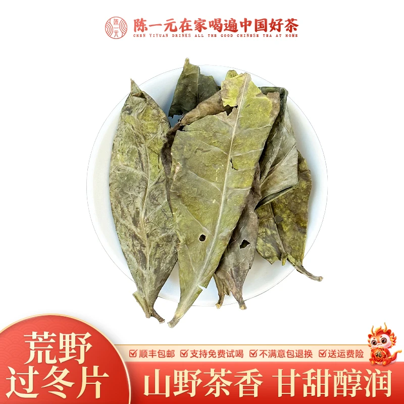荒野过冬片福鼎白茶回甘生津野韵足清冽甘甜免费试喝（250g/500g）