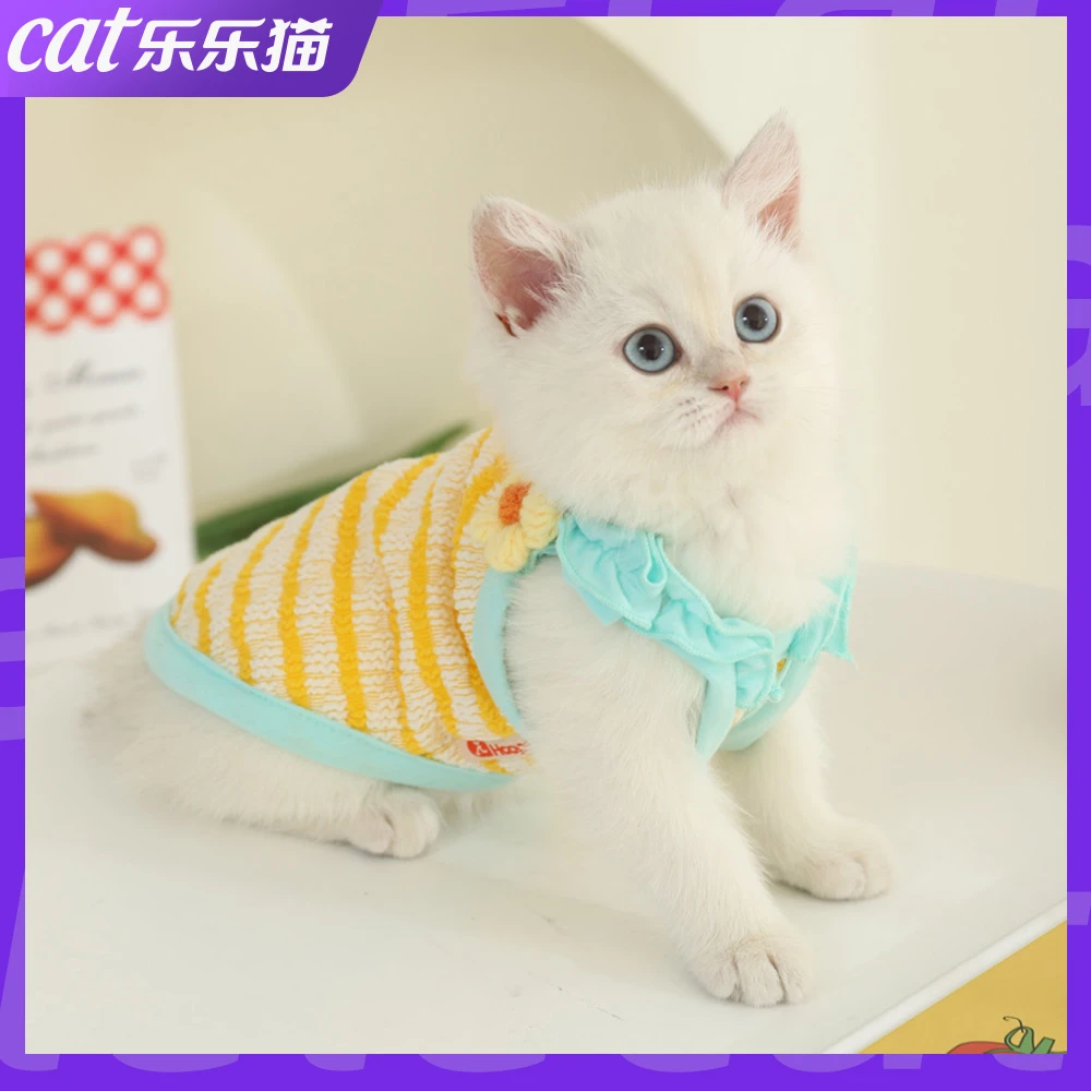 猫咪衣服夏季防掉毛布偶猫猫春秋小猫夏天吊带幼猫宠物薄款猫背心