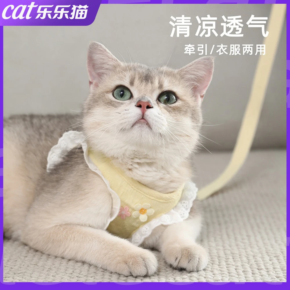 猫咪牵引绳防挣脱外出专用溜猫背心式胸背带小型犬狗狗防跑遛猫绳